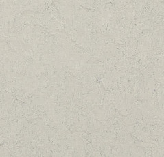 Линолеум Forbo Marmoleum Marbled Authentic 3860 silver shadow фото 1 | FLOORDEALER